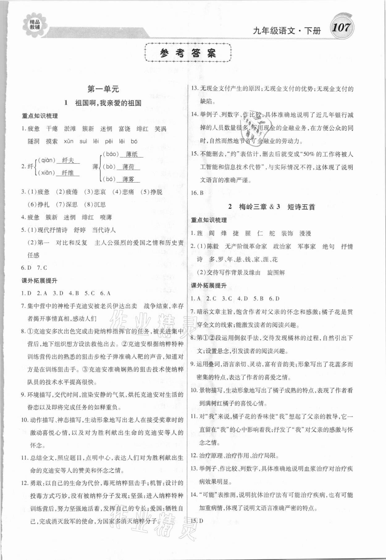 2021年練重點九年級語文下冊人教版 第1頁