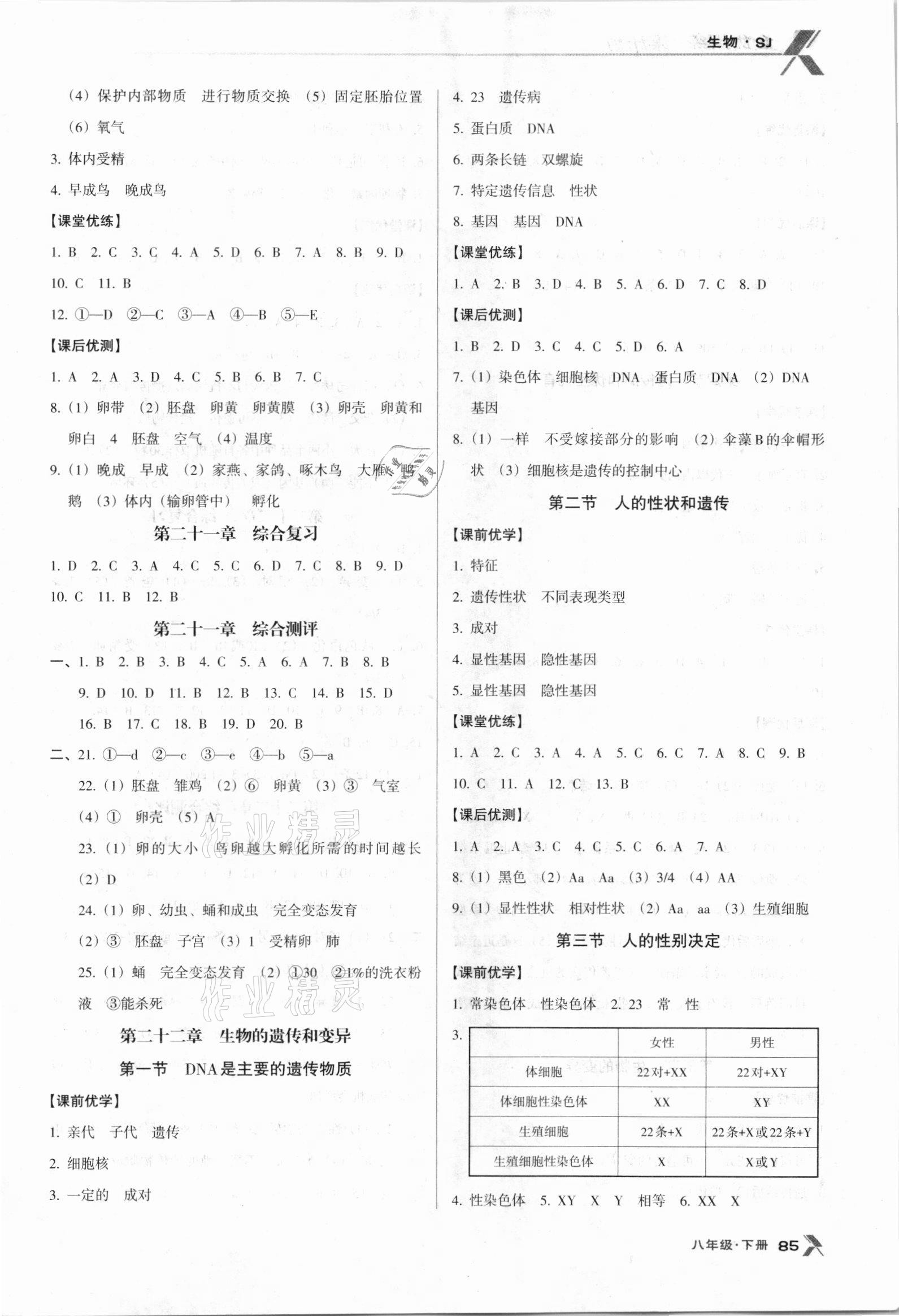 2021年全优点练课计划八年级生物下册苏教版 参考答案第3页