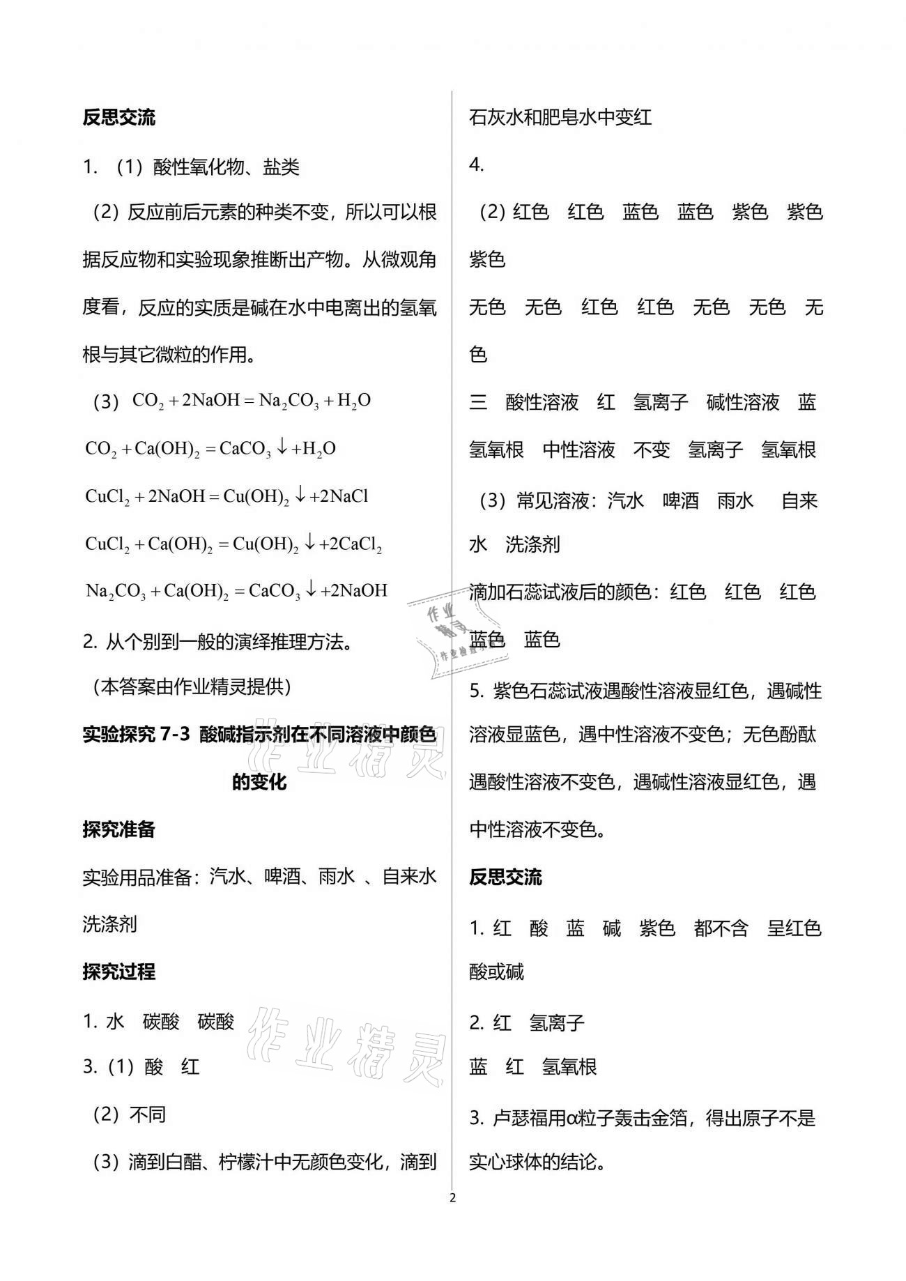 2021年初中實驗探究報告冊九年級化學下冊魯教版山東教育出版社 參考答案第2頁