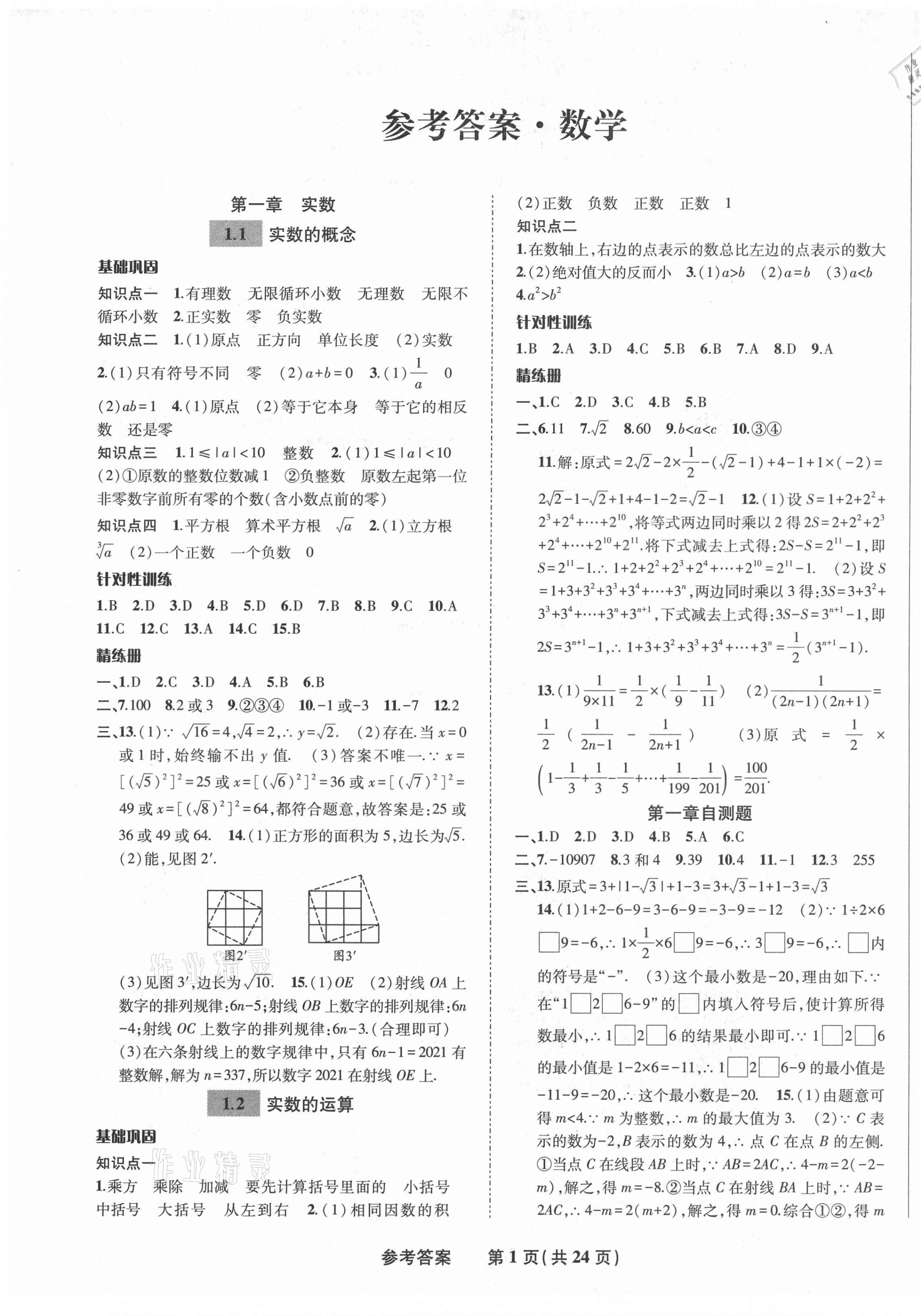 2021年九年级毕业班综合练习与检测数学 第1页