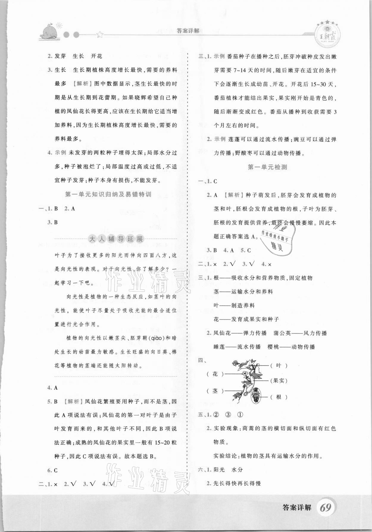 2021年創(chuàng)維新課堂四年級科學下冊教科版 第3頁