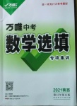 2021年萬唯中考數(shù)學(xué)選填專項集訓(xùn)陜西專版