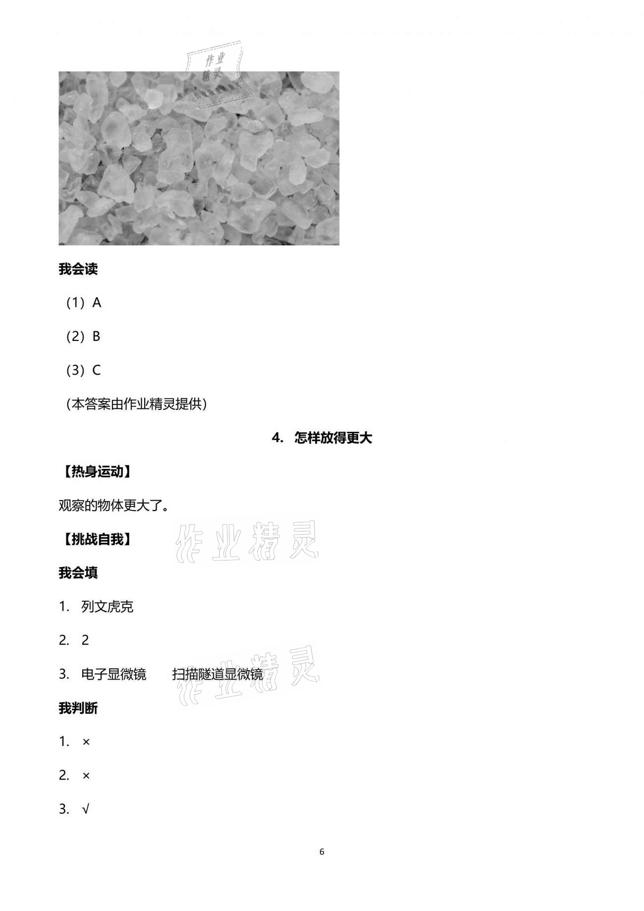 2021年新思維伴你學(xué)單元達(dá)標(biāo)測(cè)試卷六年級(jí)科學(xué)下冊(cè)教科版 第6頁