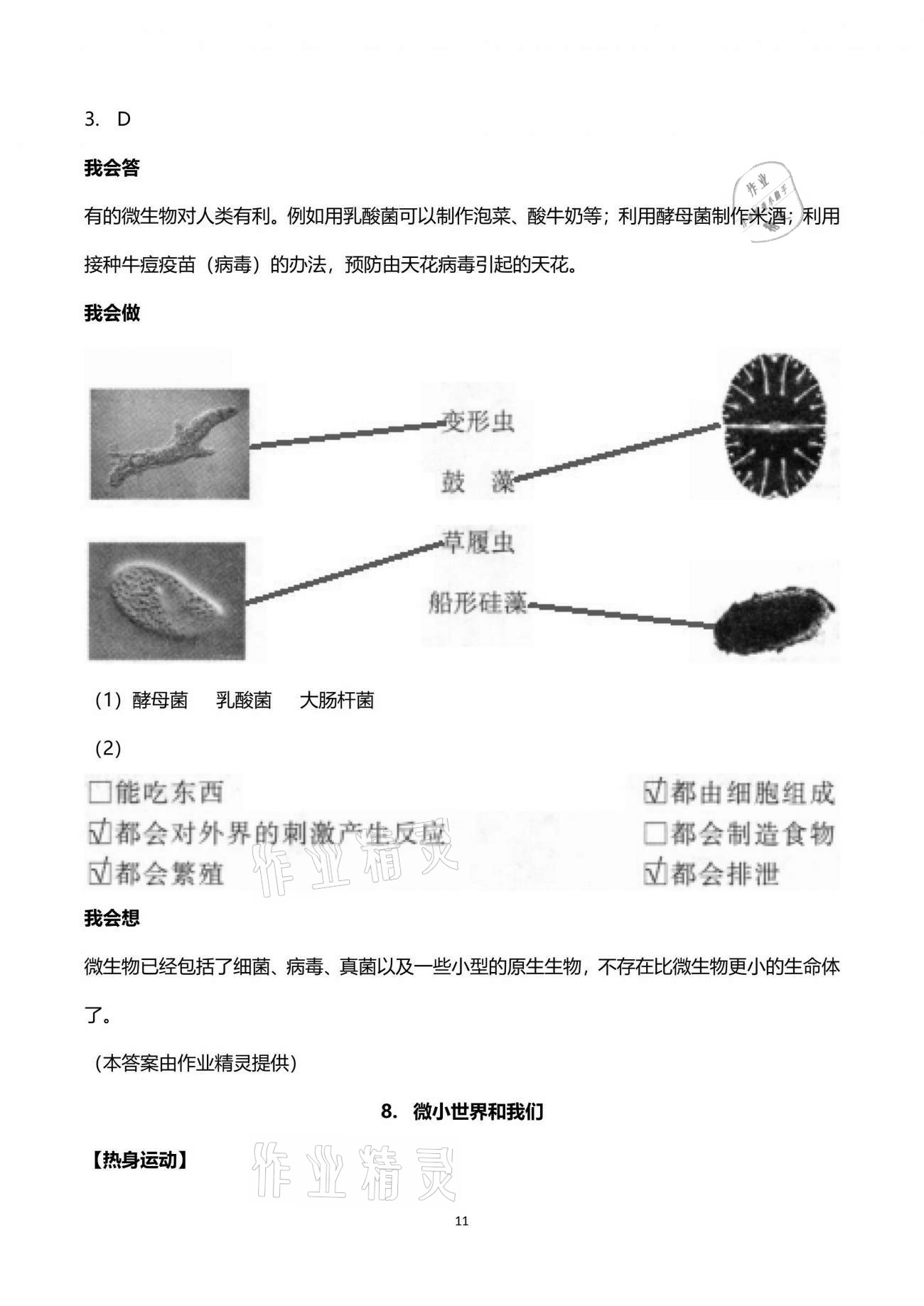 2021年新思維伴你學單元達標測試卷六年級科學下冊教科版 第11頁