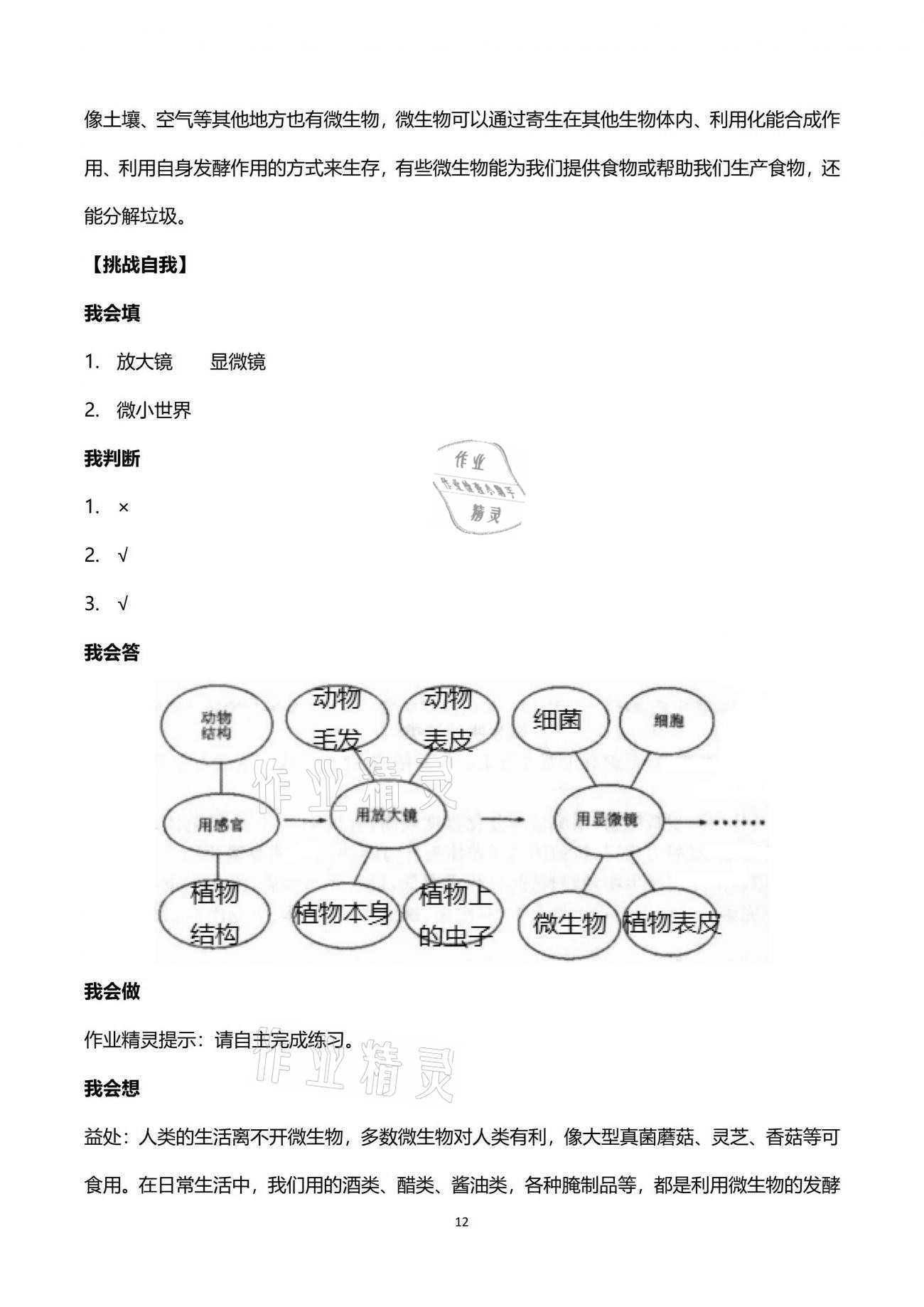 2021年新思維伴你學(xué)單元達(dá)標(biāo)測(cè)試卷六年級(jí)科學(xué)下冊(cè)教科版 第12頁(yè)