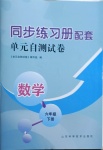 2021年同步練習(xí)冊配套單元自測試卷六年級數(shù)學(xué)下冊人教版