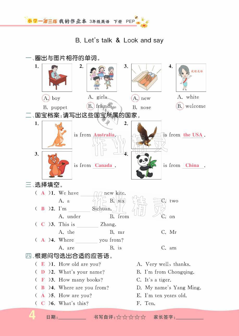 2021年小學一課三練我的作業(yè)本三年級英語下冊人教PEP版 參考答案第9頁