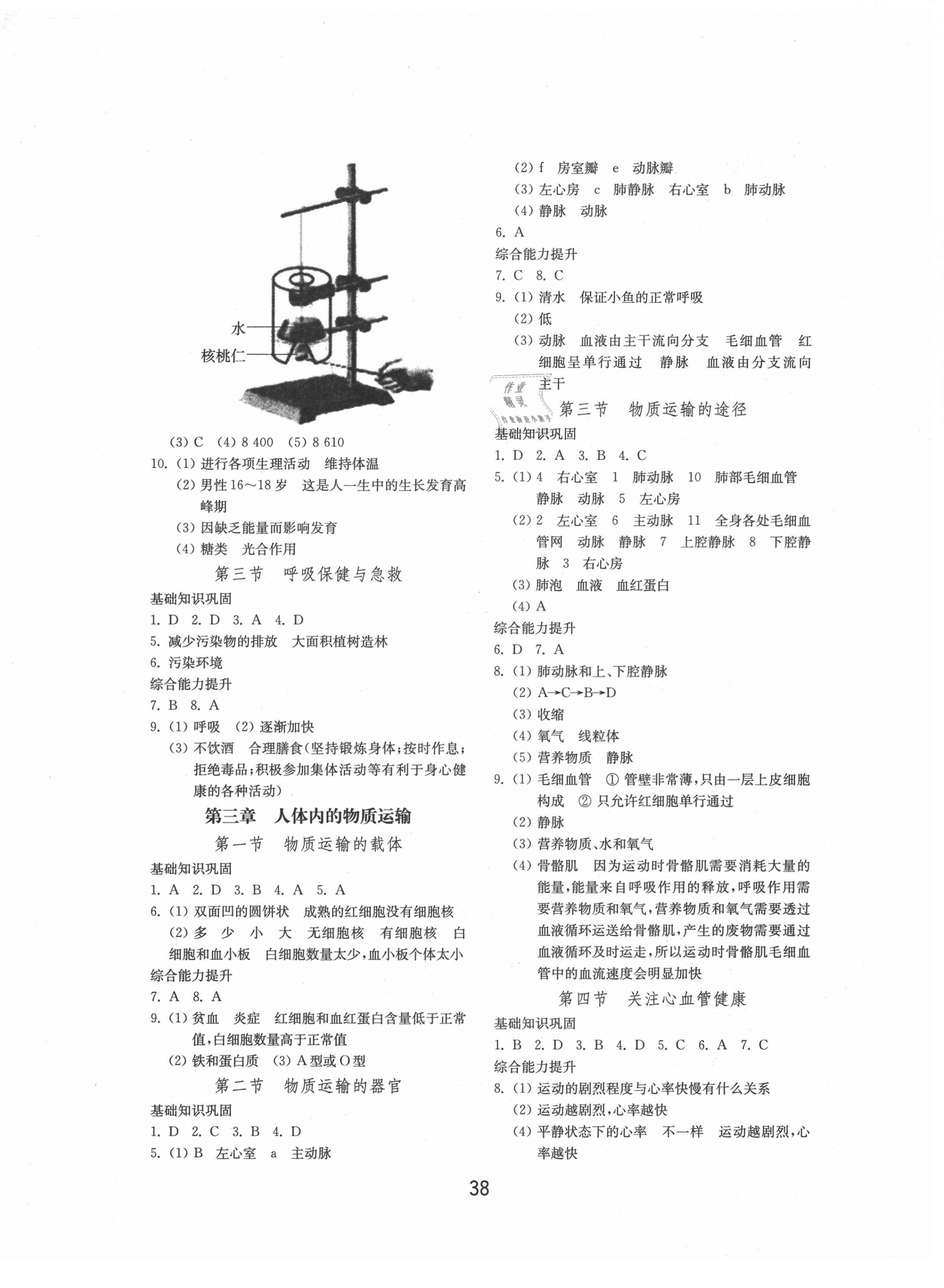 2021年初中基础训练七年级生物下册济南版山东教育出版社 第2页