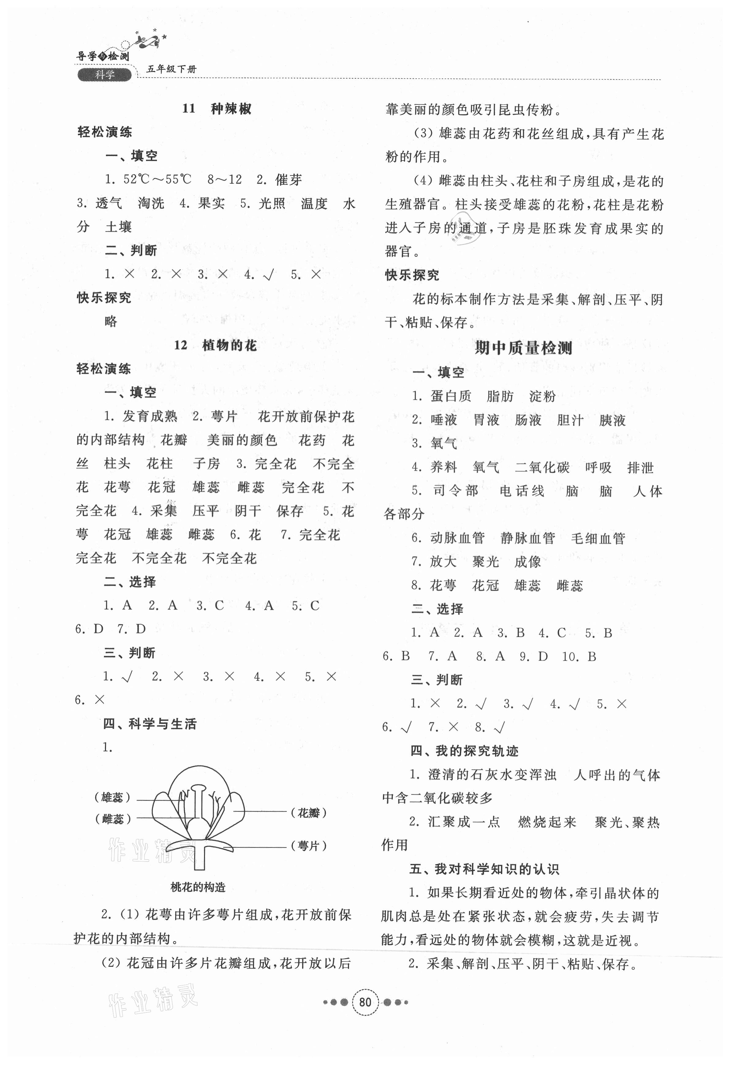 2021年導學與檢測五年級科學下冊青島版 第4頁