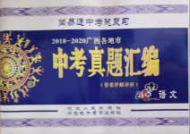 2021年簡易通中考總復(fù)習(xí)語文廣西專版