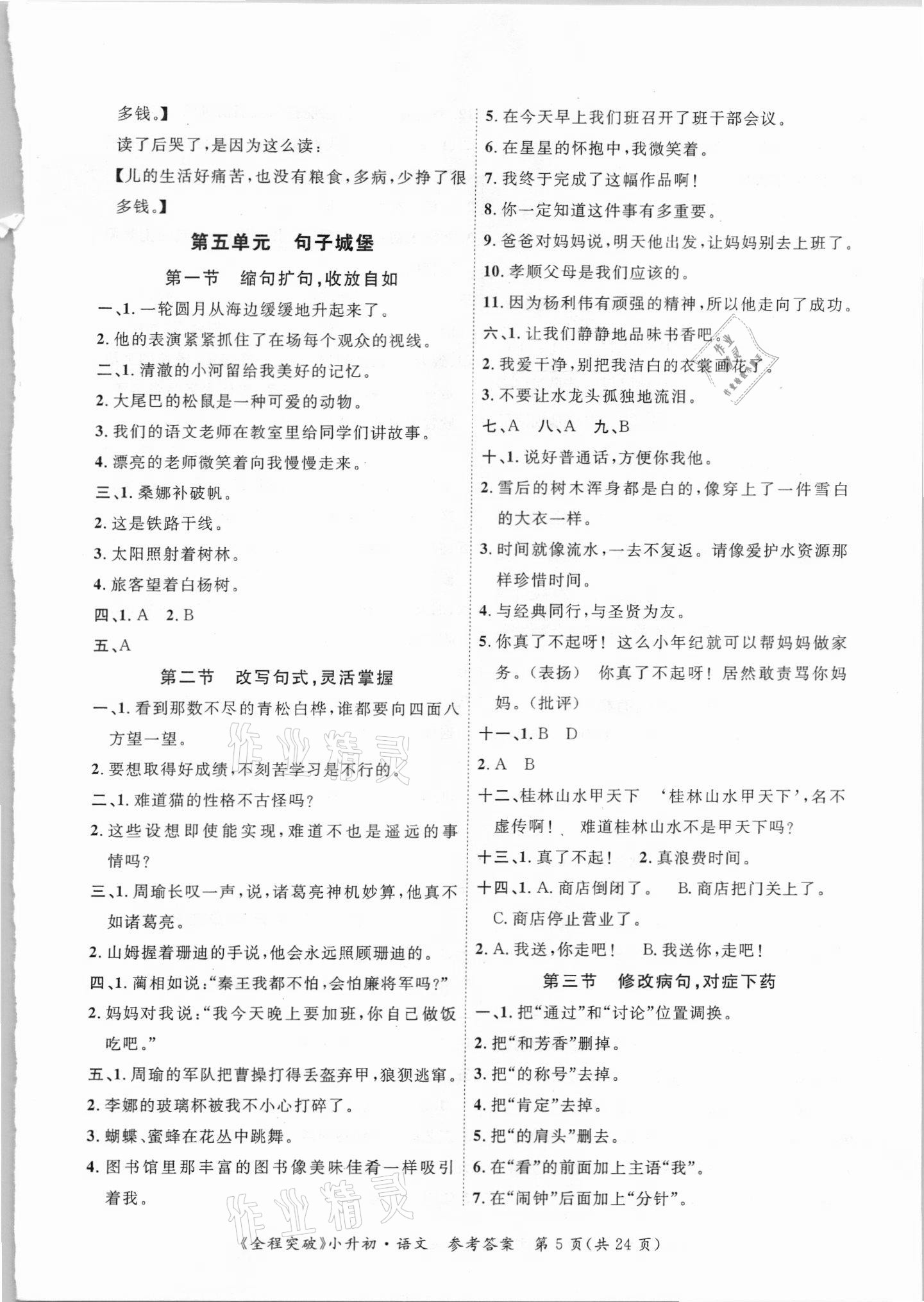 2021年全程突破小升初總復(fù)習(xí)語文 第5頁