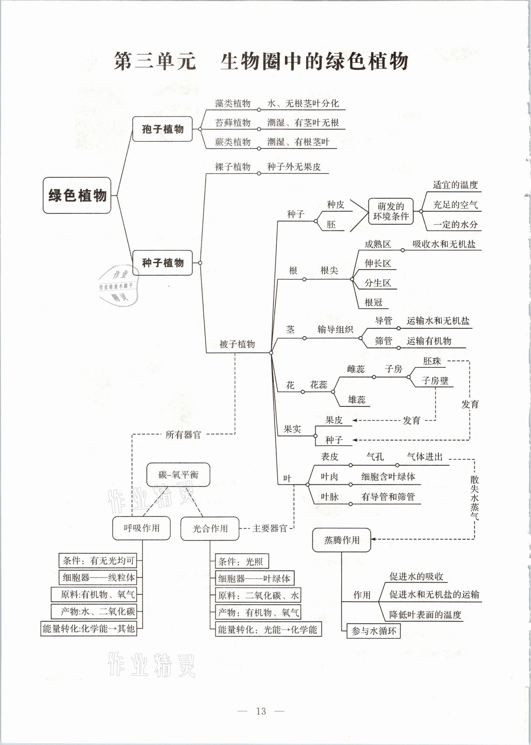 2021年名師學(xué)案中考復(fù)習(xí)堂堂清生物云南專版 參考答案第29頁(yè)