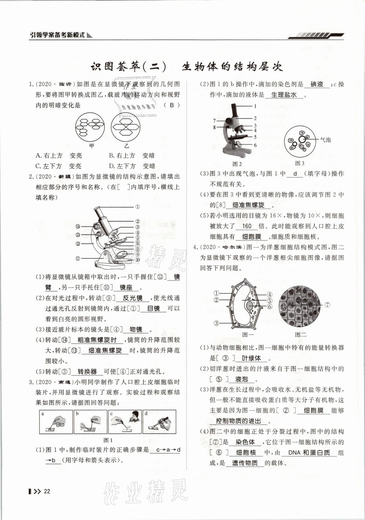 2021年名師學(xué)案中考復(fù)習(xí)堂堂清生物云南專版 參考答案第40頁