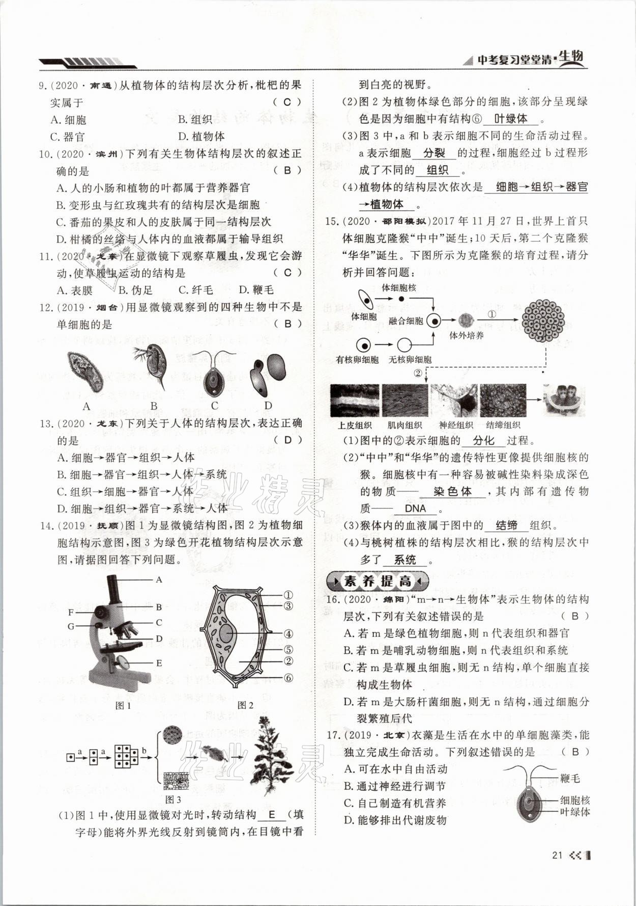 2021年名師學(xué)案中考復(fù)習(xí)堂堂清生物云南專版 參考答案第38頁