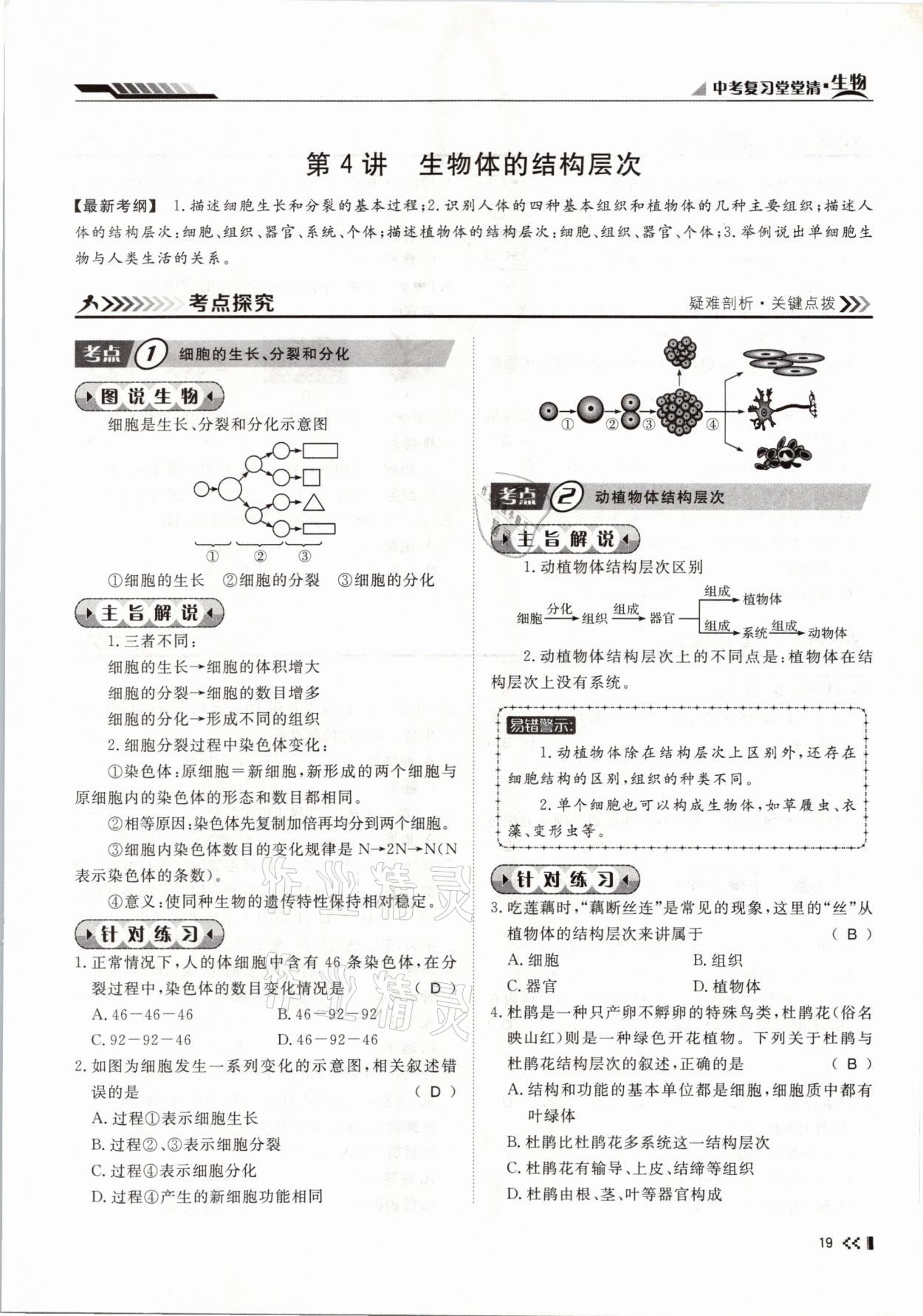 2021年名師學(xué)案中考復(fù)習(xí)堂堂清生物云南專版 參考答案第34頁