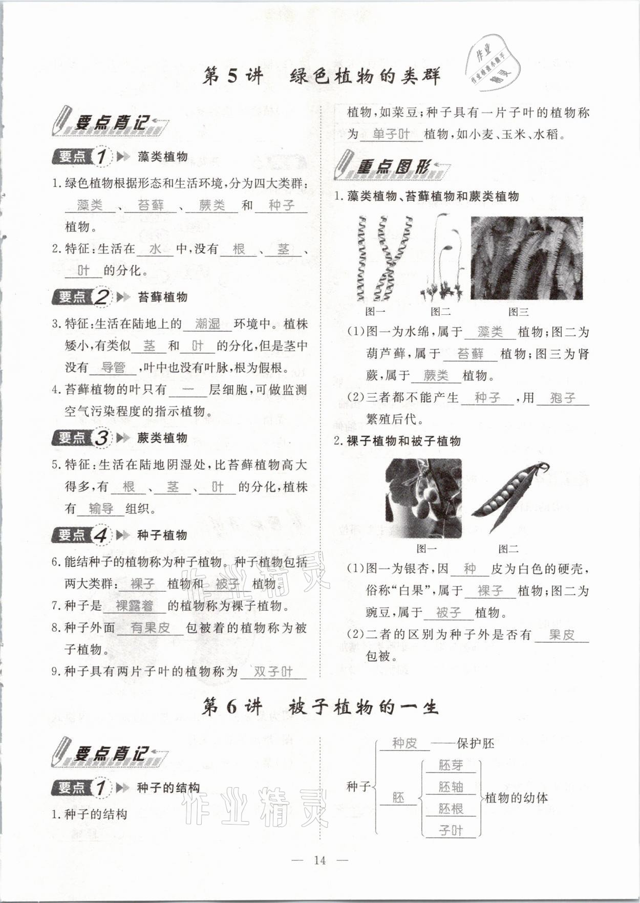 2021年名師學(xué)案中考復(fù)習(xí)堂堂清生物云南專版 參考答案第31頁(yè)