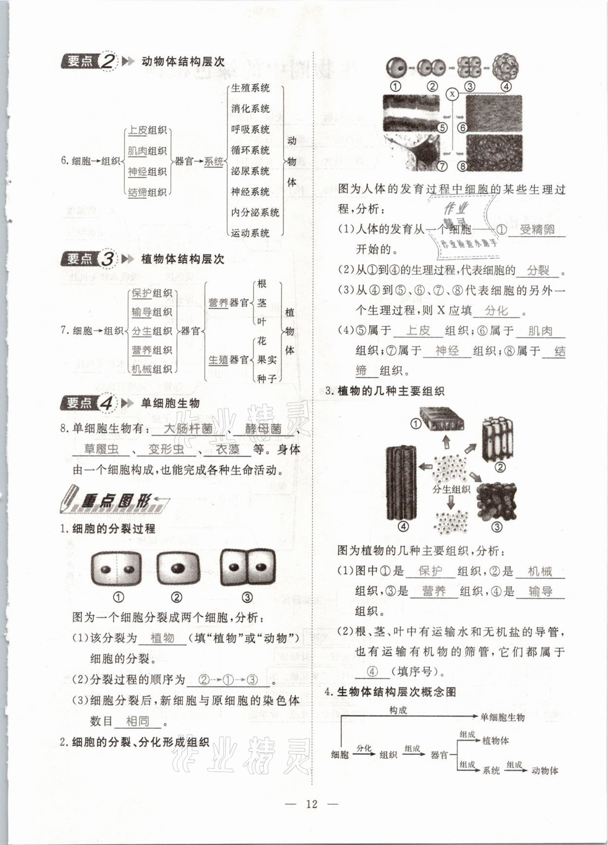 2021年名師學(xué)案中考復(fù)習(xí)堂堂清生物云南專(zhuān)版 參考答案第27頁(yè)