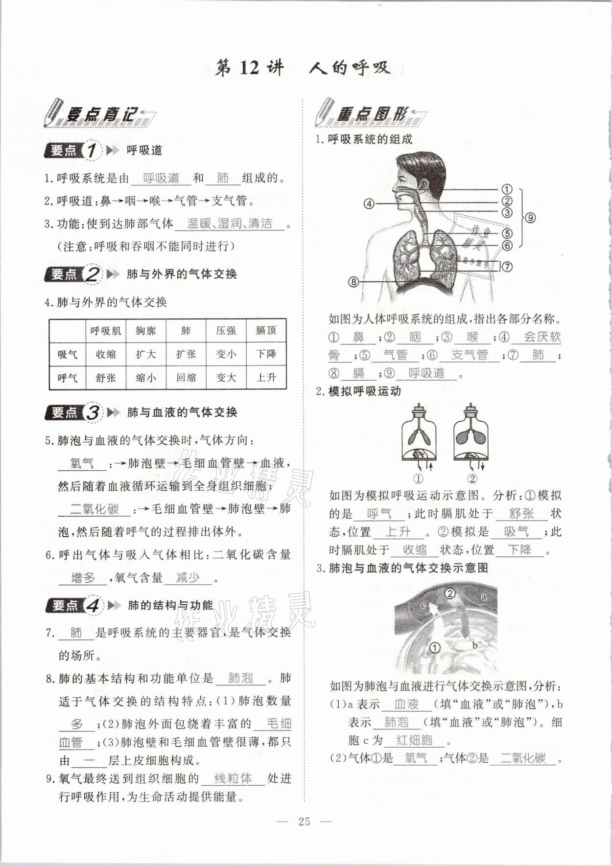 2021年名師學(xué)案中考復(fù)習(xí)堂堂清生物云南專版 參考答案第53頁