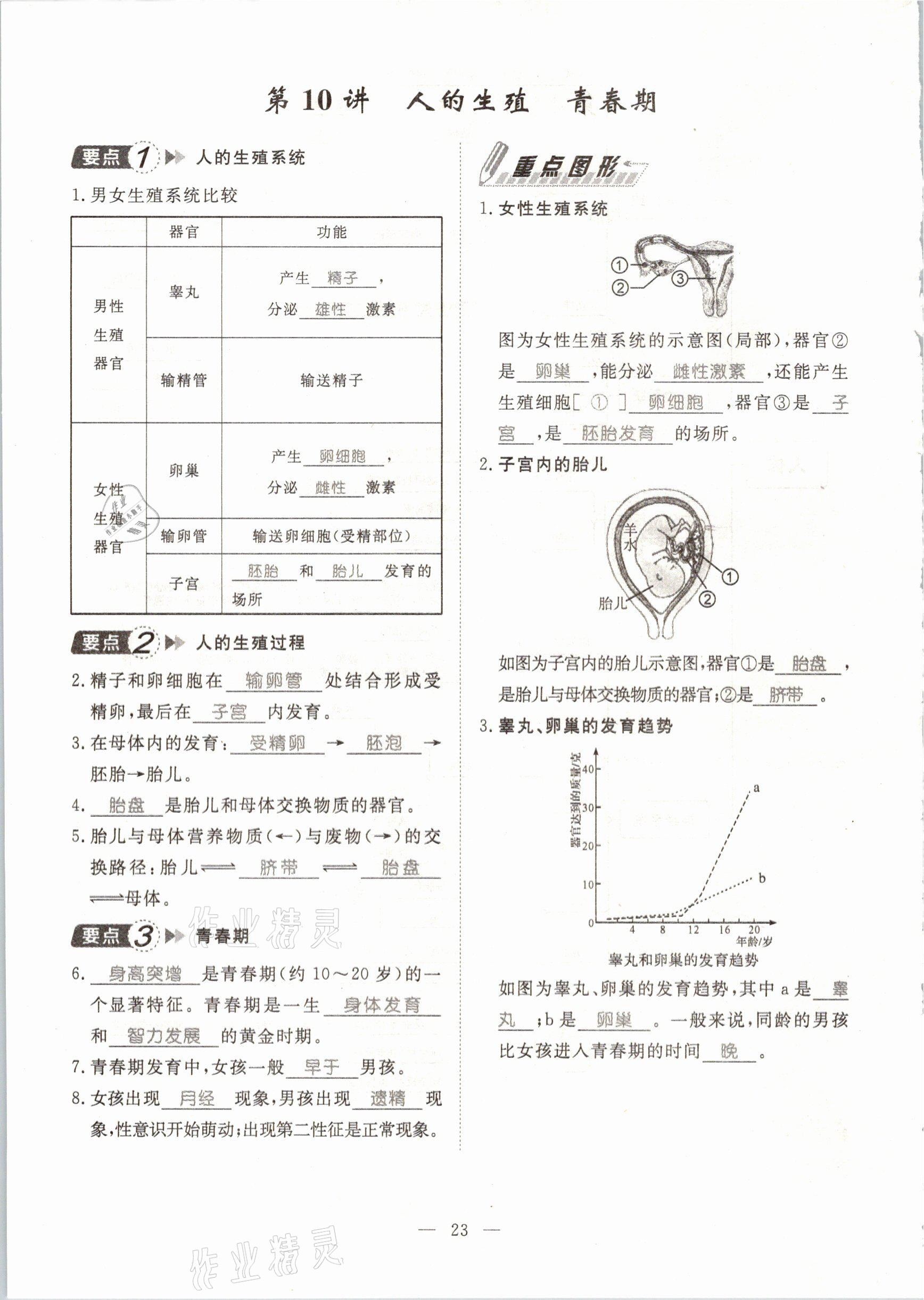 2021年名師學案中考復習堂堂清生物云南專版 參考答案第49頁