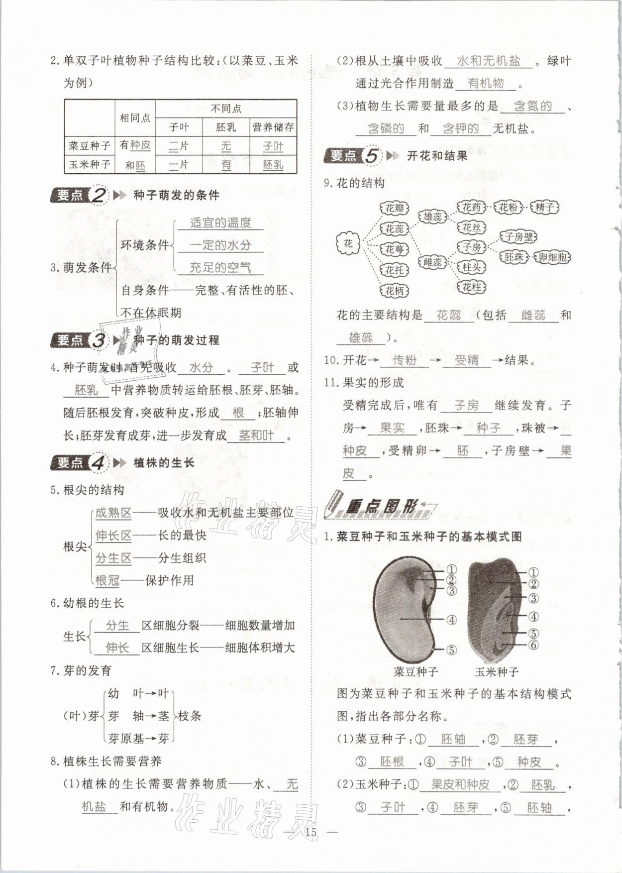 2021年名師學(xué)案中考復(fù)習(xí)堂堂清生物云南專版 參考答案第33頁(yè)