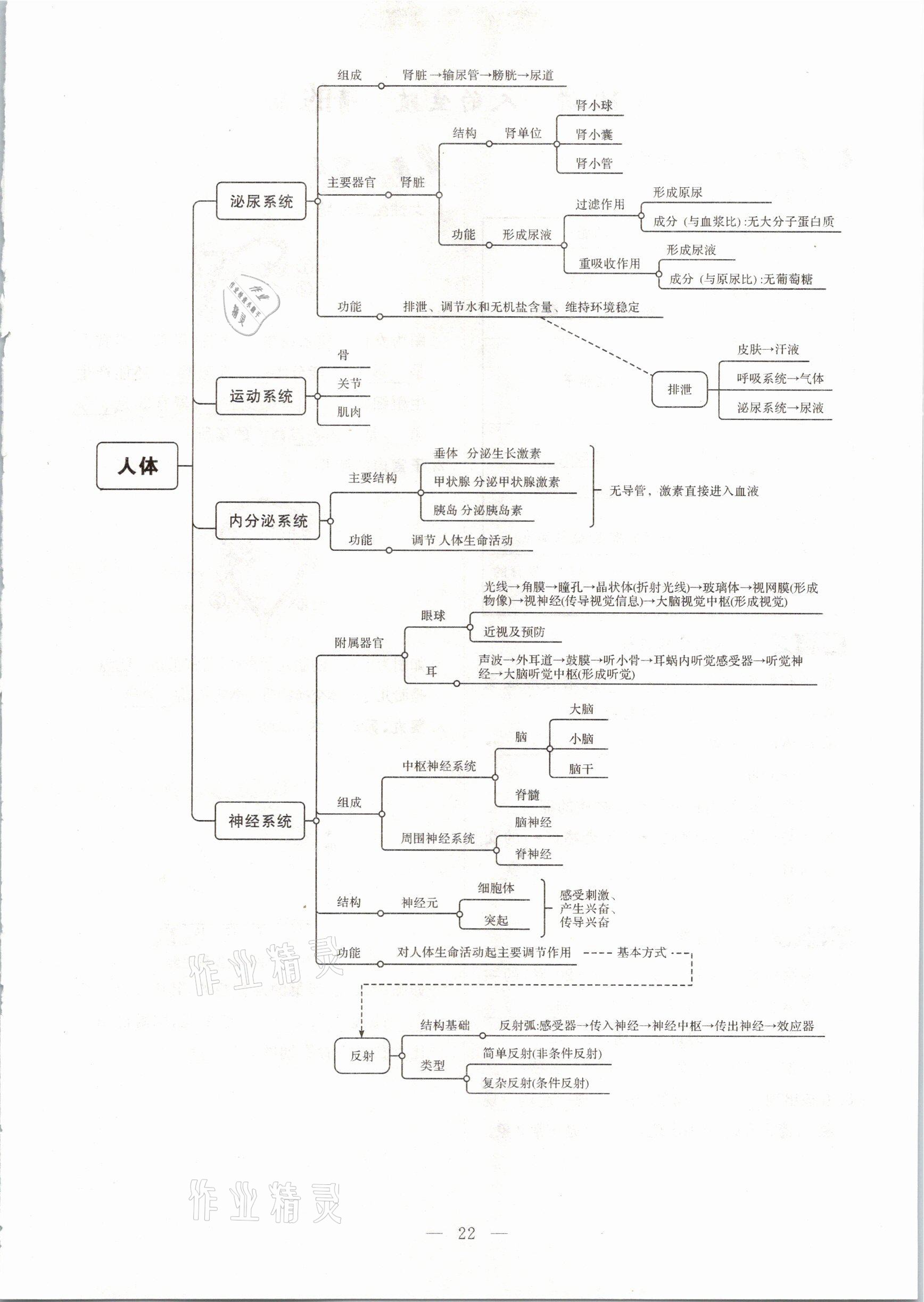 2021年名師學(xué)案中考復(fù)習(xí)堂堂清生物云南專版 參考答案第47頁(yè)