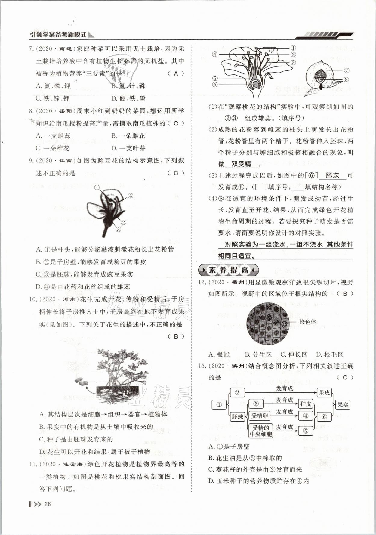 2021年名師學(xué)案中考復(fù)習(xí)堂堂清生物云南專版 參考答案第52頁