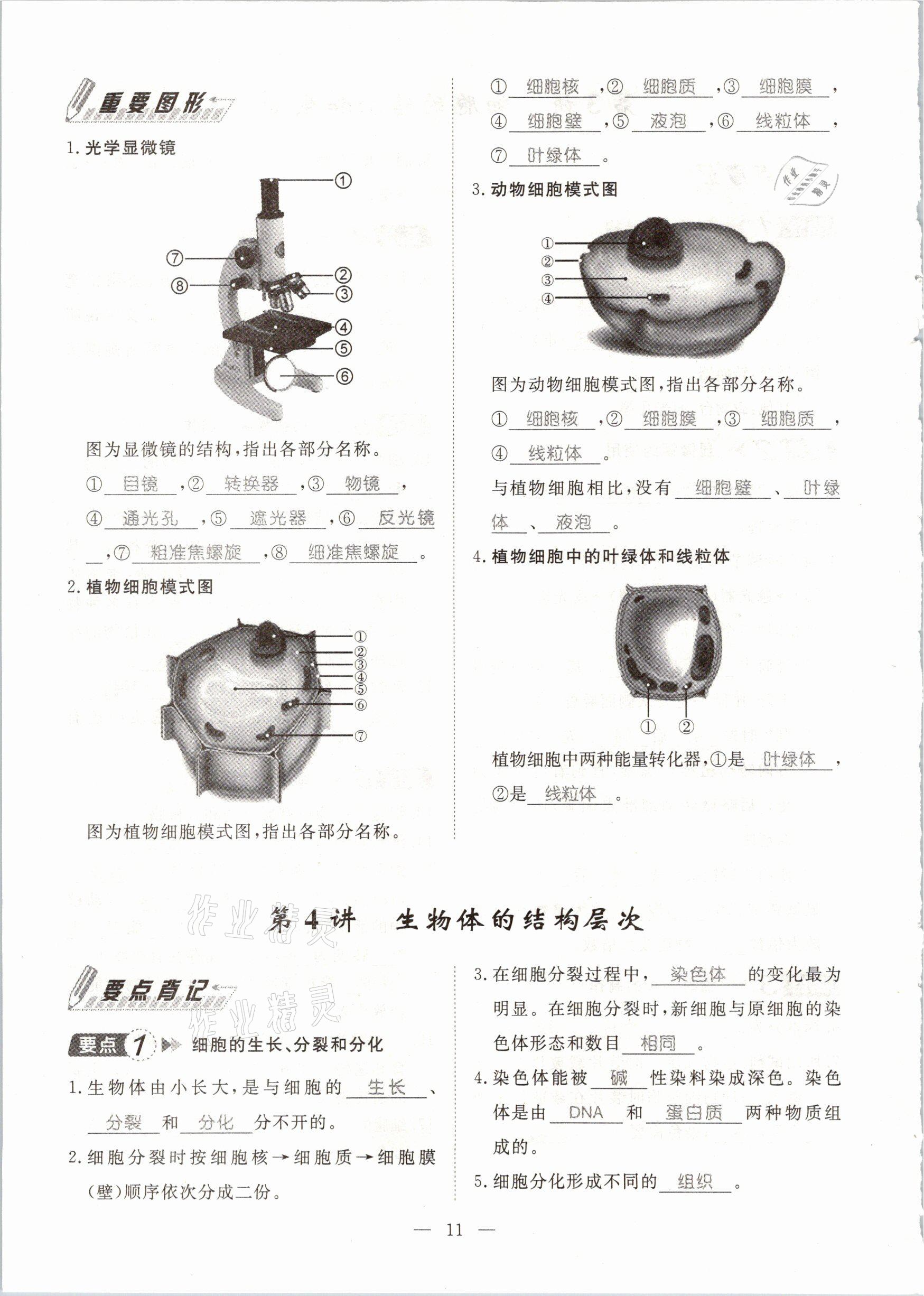 2021年名師學(xué)案中考復(fù)習(xí)堂堂清生物云南專版 參考答案第25頁(yè)