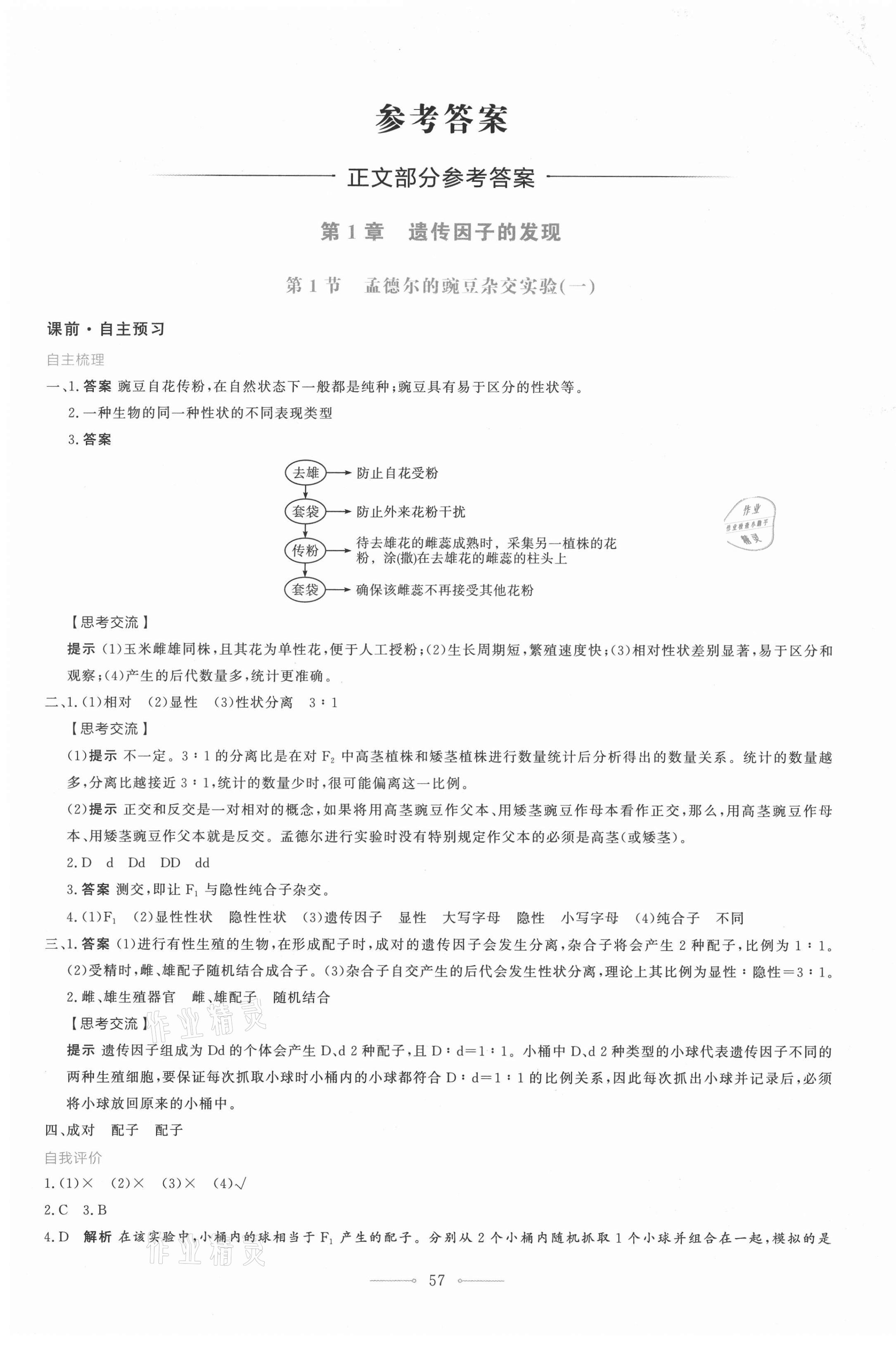 2021年陽光課堂生物學(xué)必修2遺傳與進(jìn)化人教版人民教育出版社 第1頁