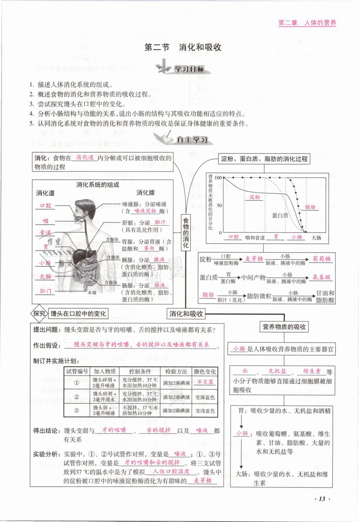 2021年本土攻略七年级生物下册人教版 参考答案第13页