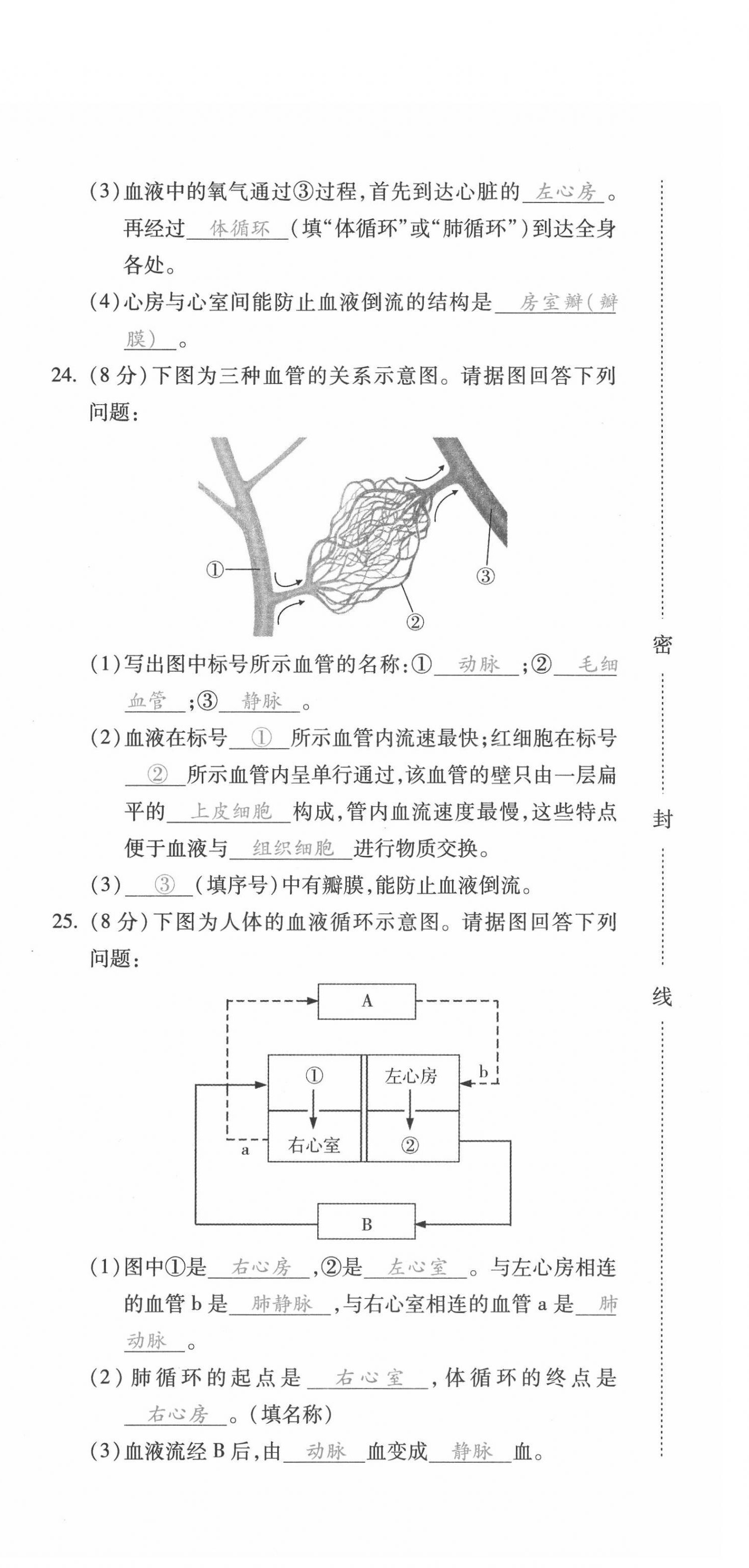 2021年本土攻略七年级生物下册人教版 第12页