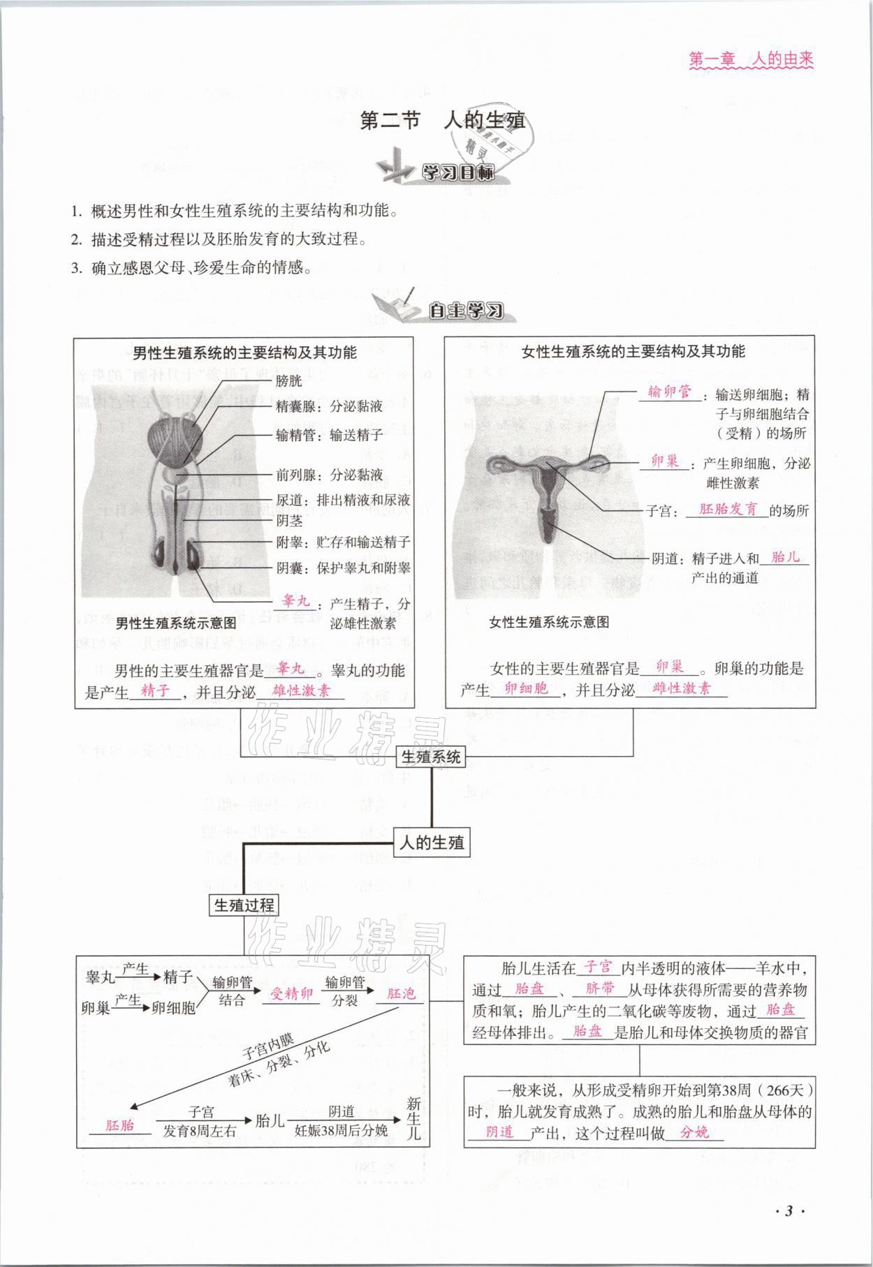 2021年本土攻略七年级生物下册人教版 参考答案第3页