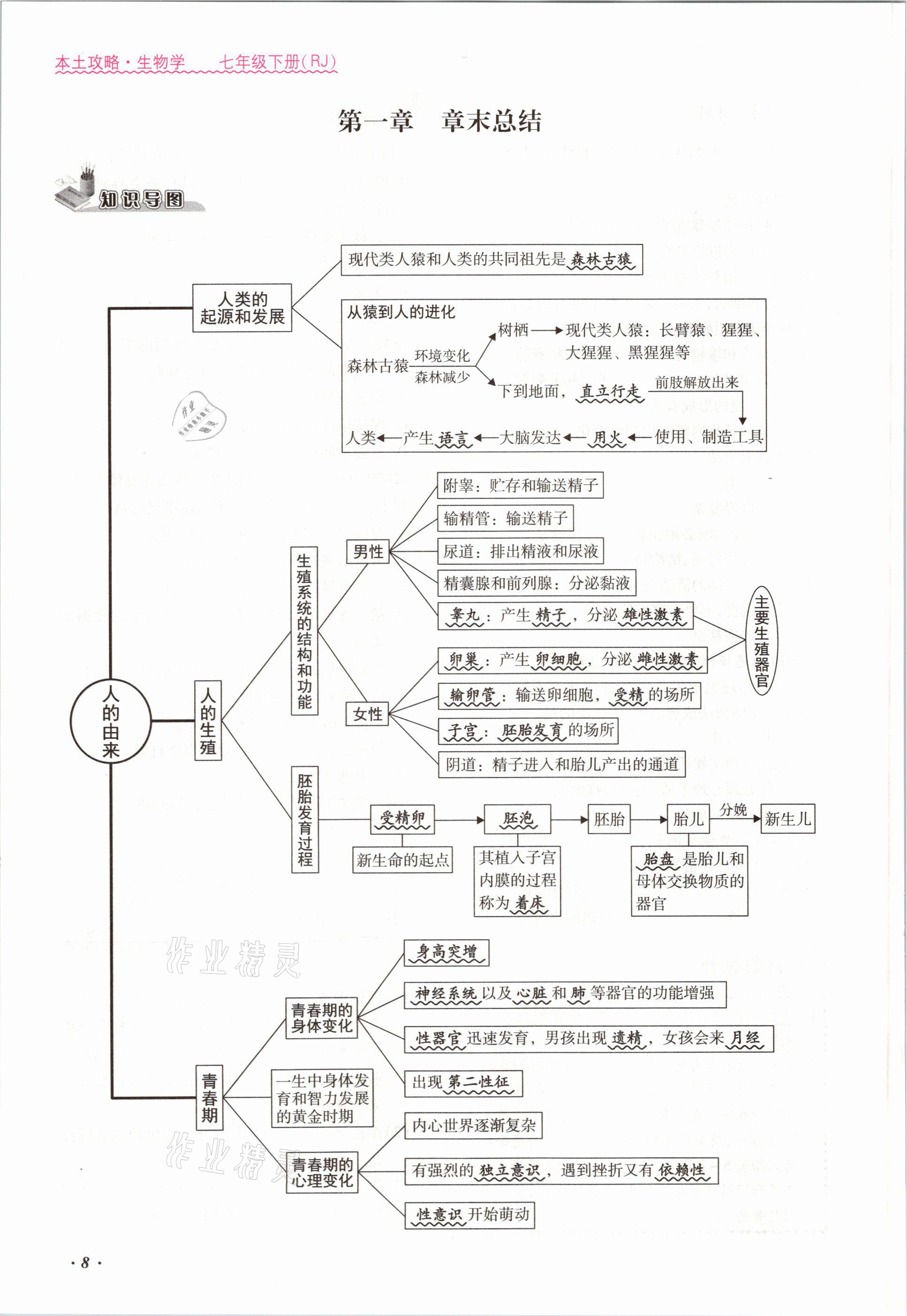 2021年本土攻略七年级生物下册人教版 参考答案第8页