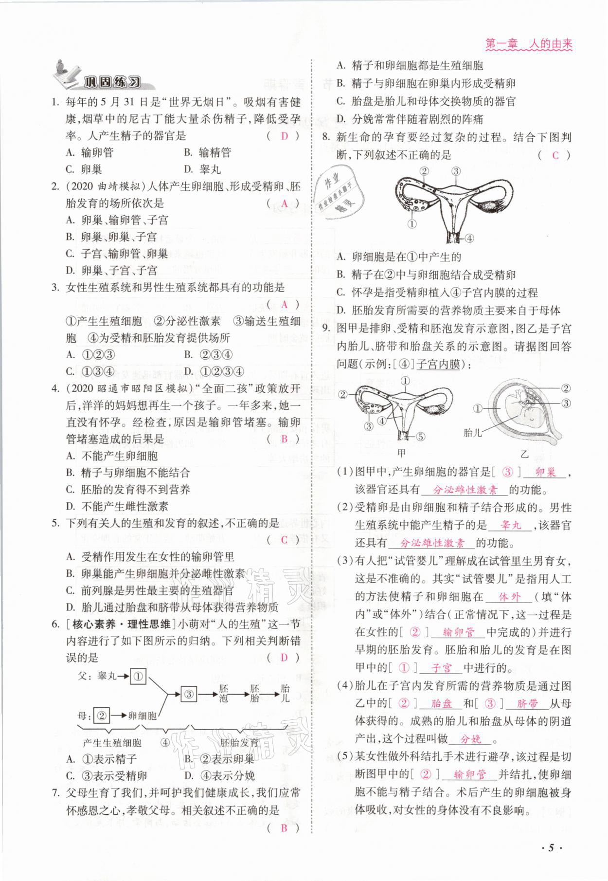 2021年本土攻略七年级生物下册人教版 参考答案第5页