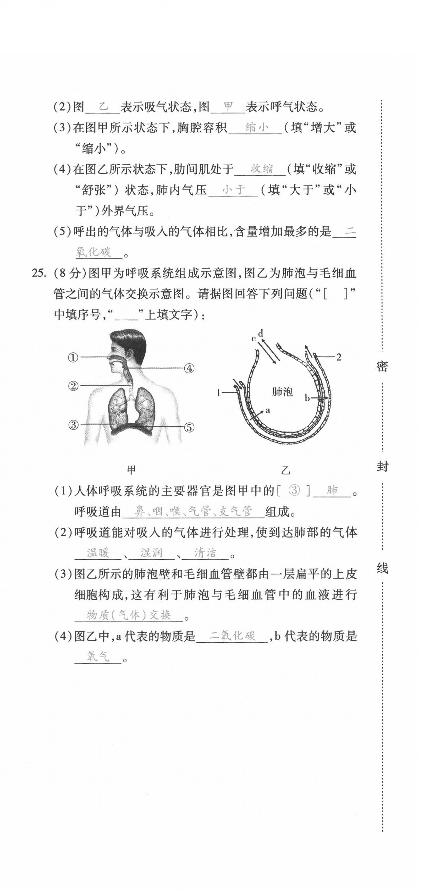 2021年本土攻略七年级生物下册人教版 第6页