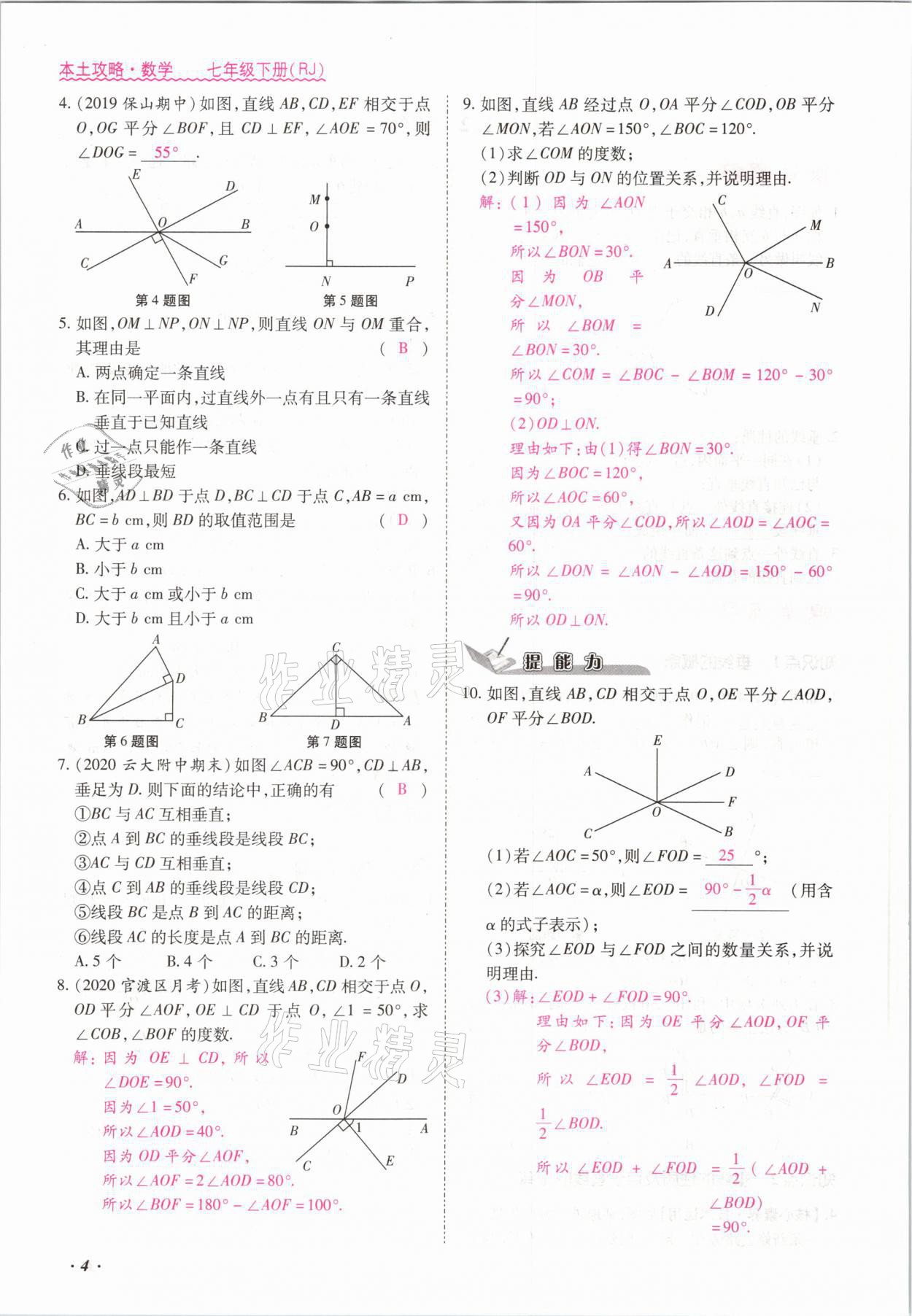 2021年本土攻略七年级数学下册人教版 参考答案第4页