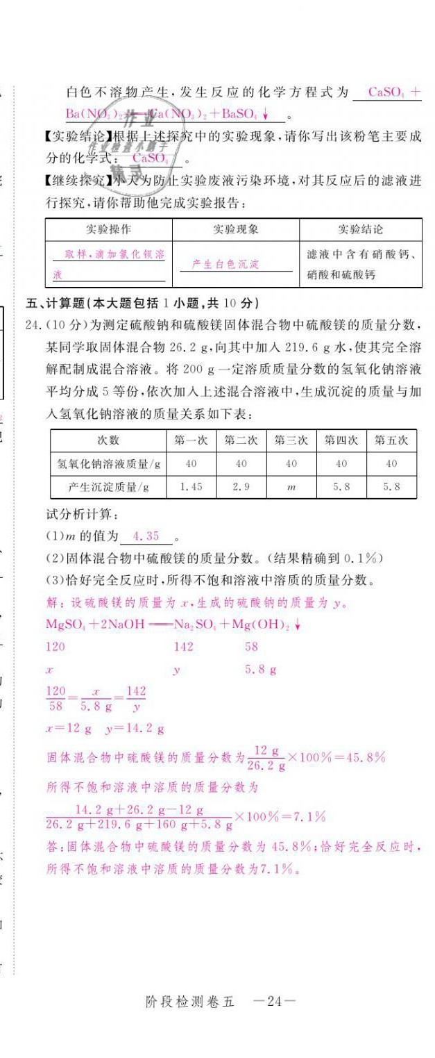 2021年芝麻開花領(lǐng)航新課標(biāo)中考方略化學(xué) 參考答案第45頁