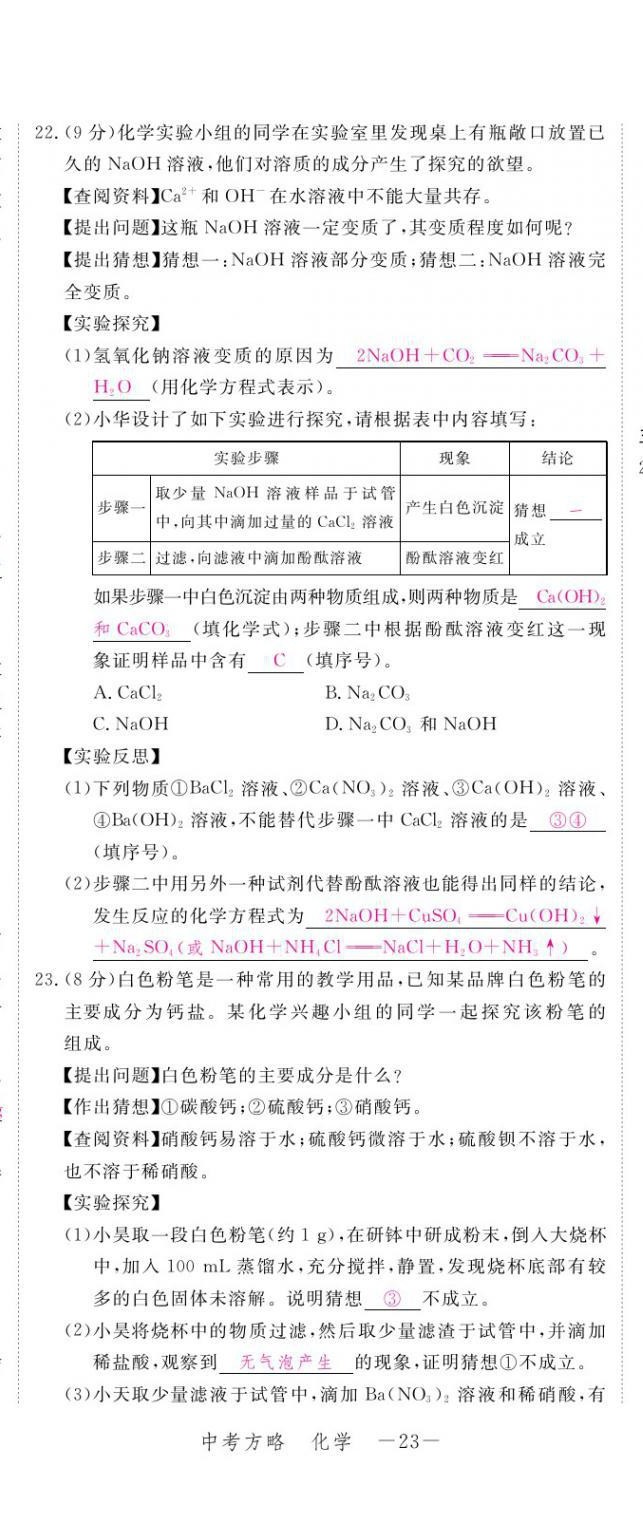 2021年芝麻開花領(lǐng)航新課標(biāo)中考方略化學(xué) 參考答案第43頁