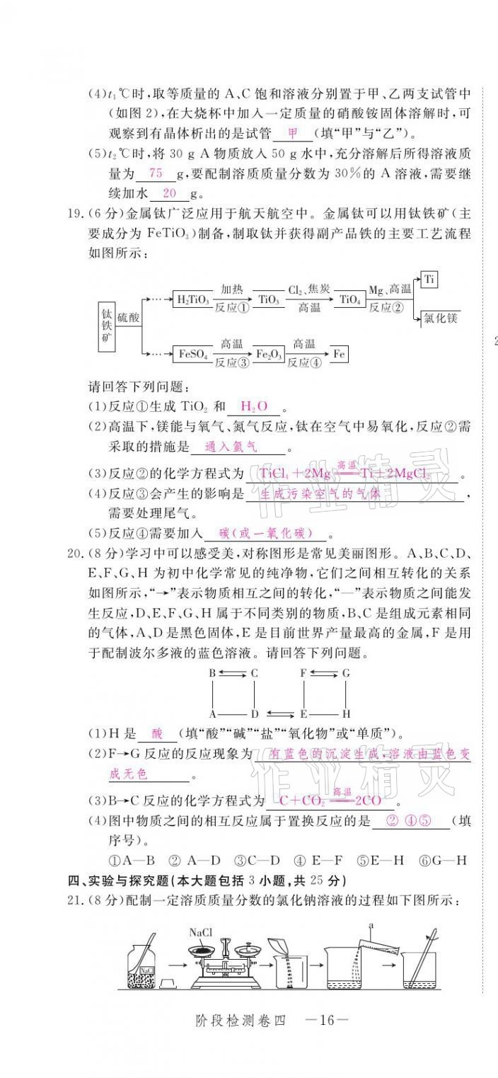 2021年芝麻開花領(lǐng)航新課標(biāo)中考方略化學(xué) 參考答案第29頁