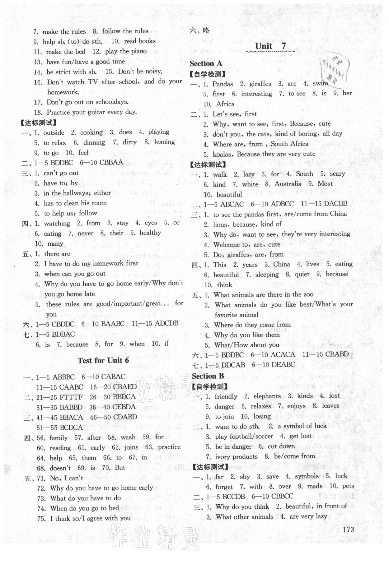 2021年初中基礎訓練六年級英語下冊魯教版河南專版54制山東教育出版社 第5頁