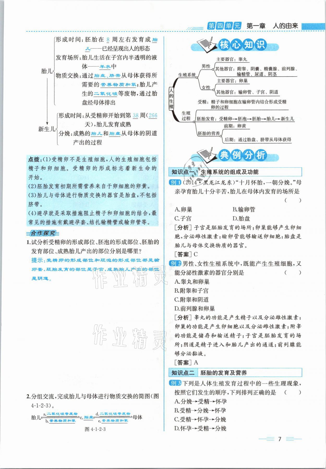 2021年人教金学典同步解析与测评七年级生物下册人教版云南专版 参考答案第24页