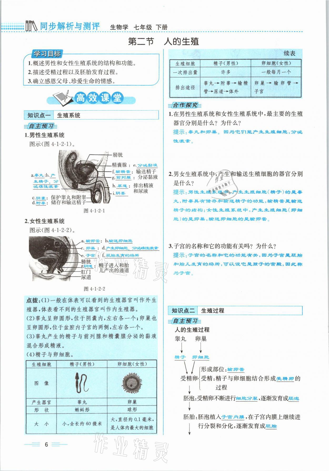 2021年人教金學(xué)典同步解析與測評七年級生物下冊人教版云南專版 參考答案第22頁