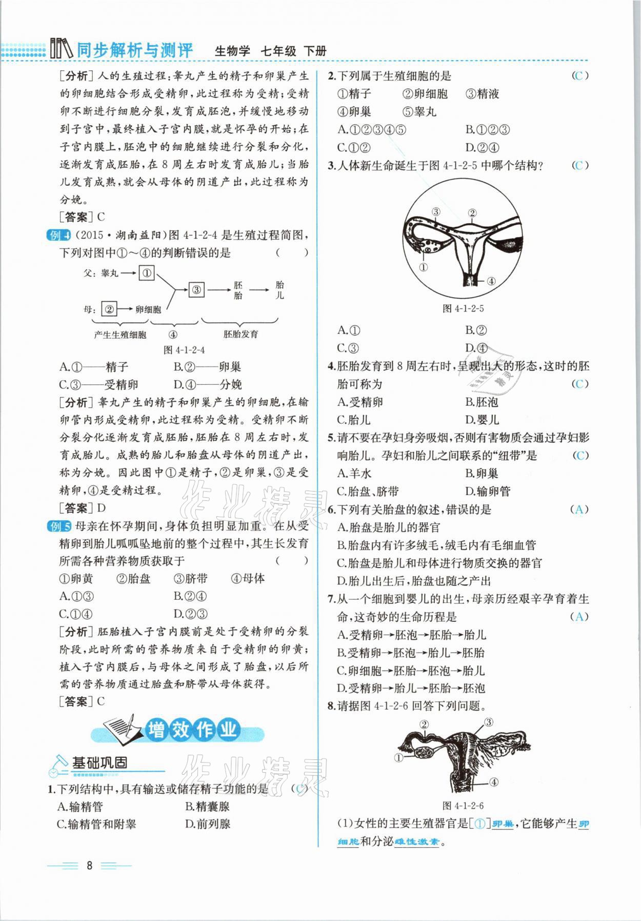 2021年人教金学典同步解析与测评七年级生物下册人教版云南专版 参考答案第26页