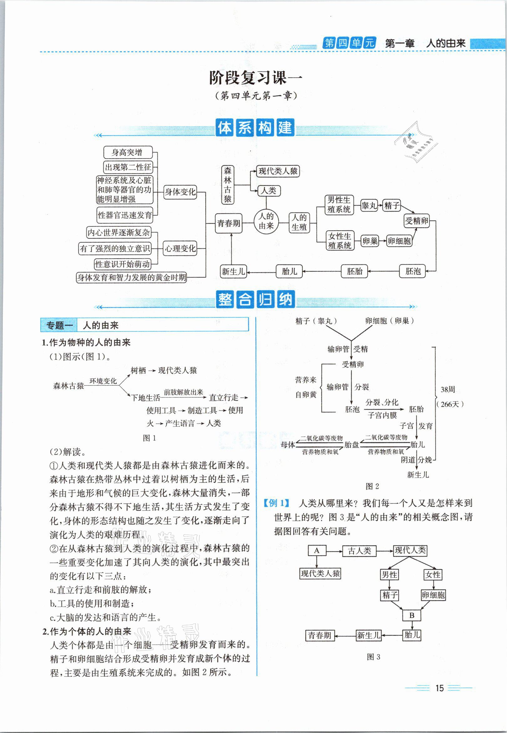 2021年人教金學(xué)典同步解析與測評七年級生物下冊人教版云南專版 參考答案第40頁