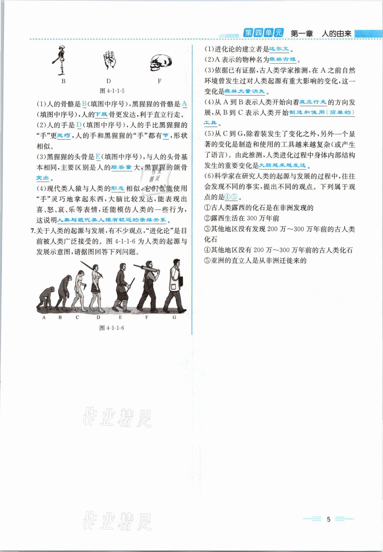 2021年人教金學(xué)典同步解析與測評(píng)七年級(jí)生物下冊人教版云南專版 參考答案第20頁