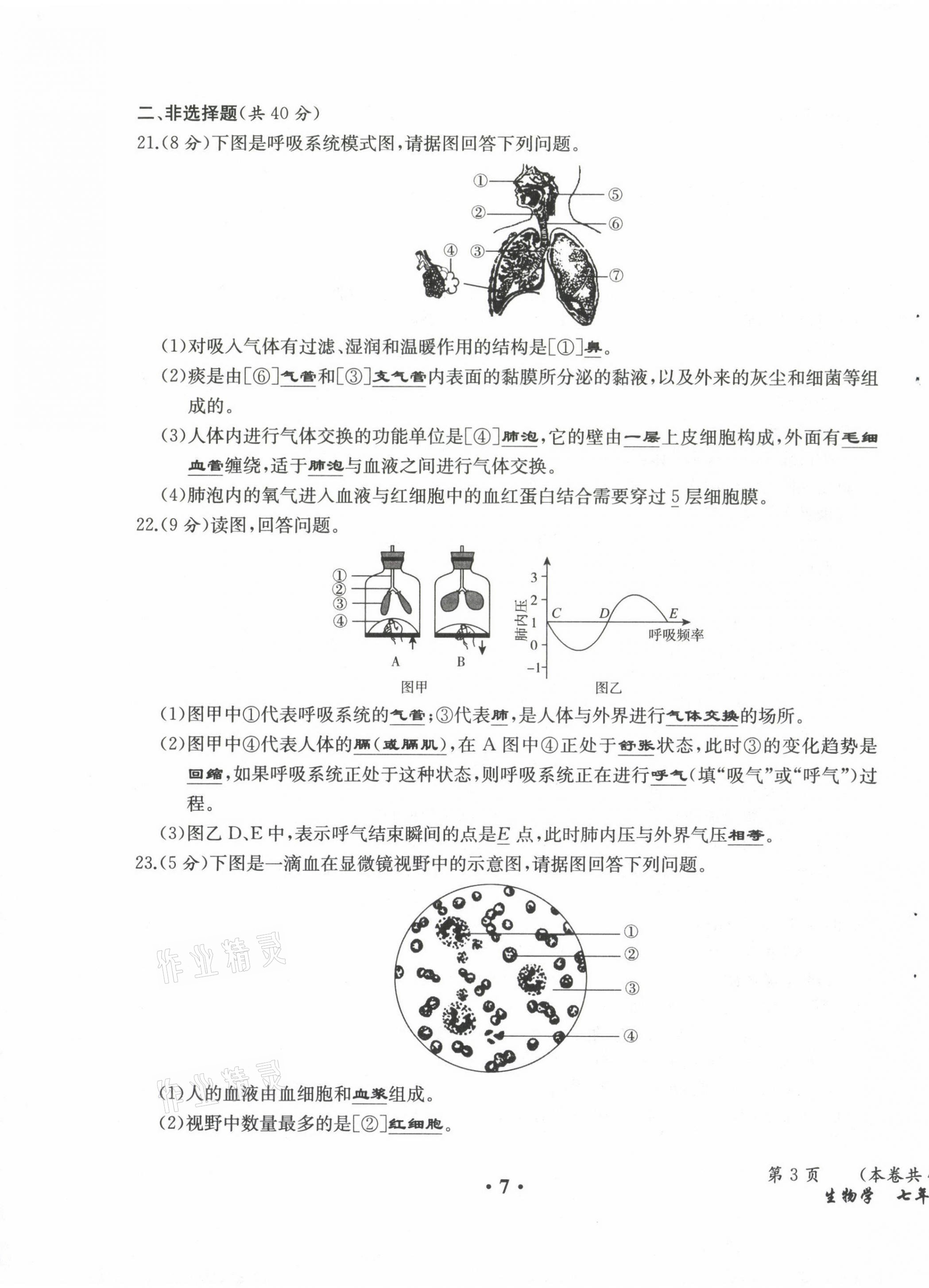 2021年人教金学典同步解析与测评七年级生物下册人教版云南专版 参考答案第9页