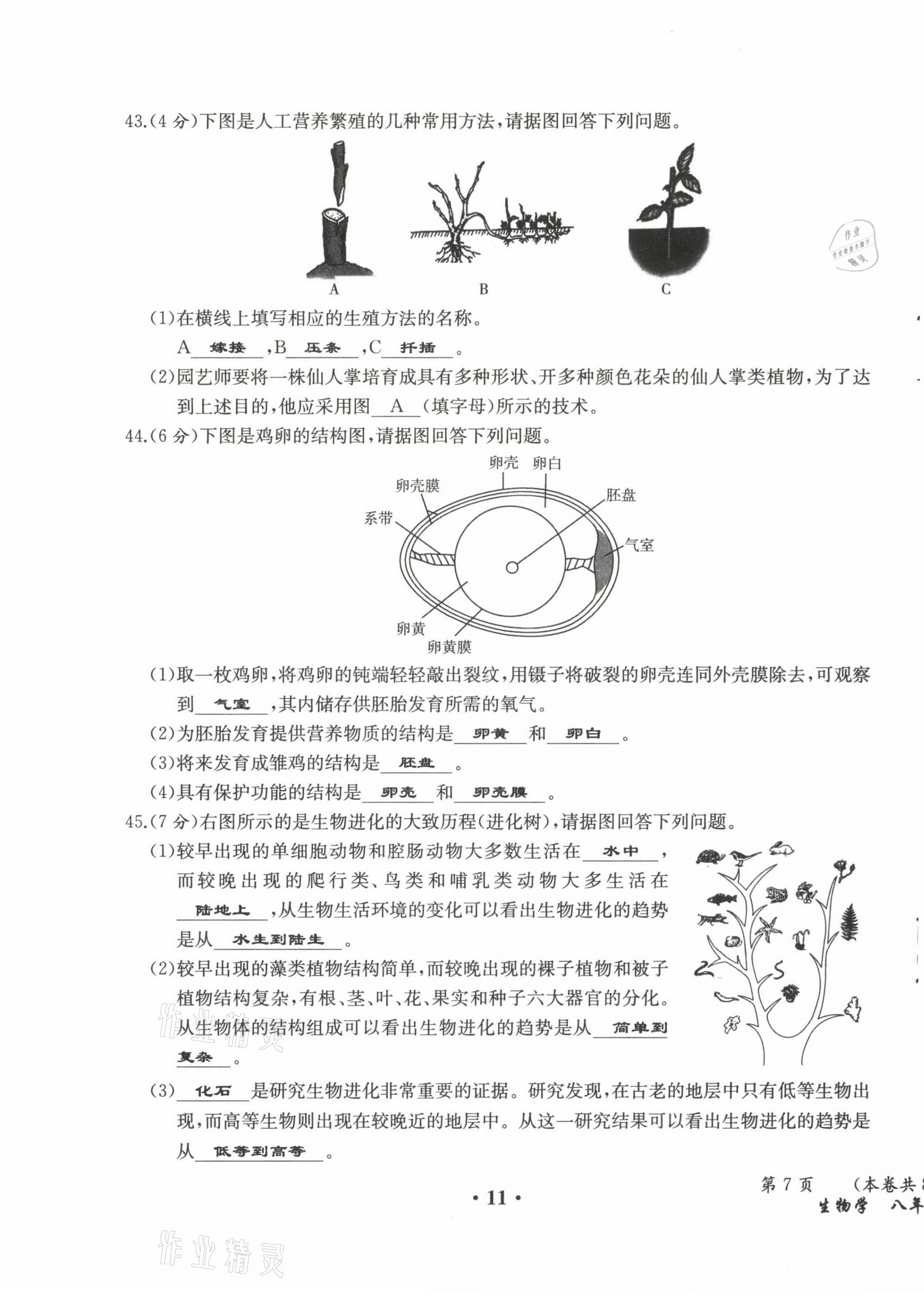 2021年人教金學(xué)典同步解析與測(cè)評(píng)八年級(jí)生物下冊(cè)人教版云南專版 參考答案第14頁