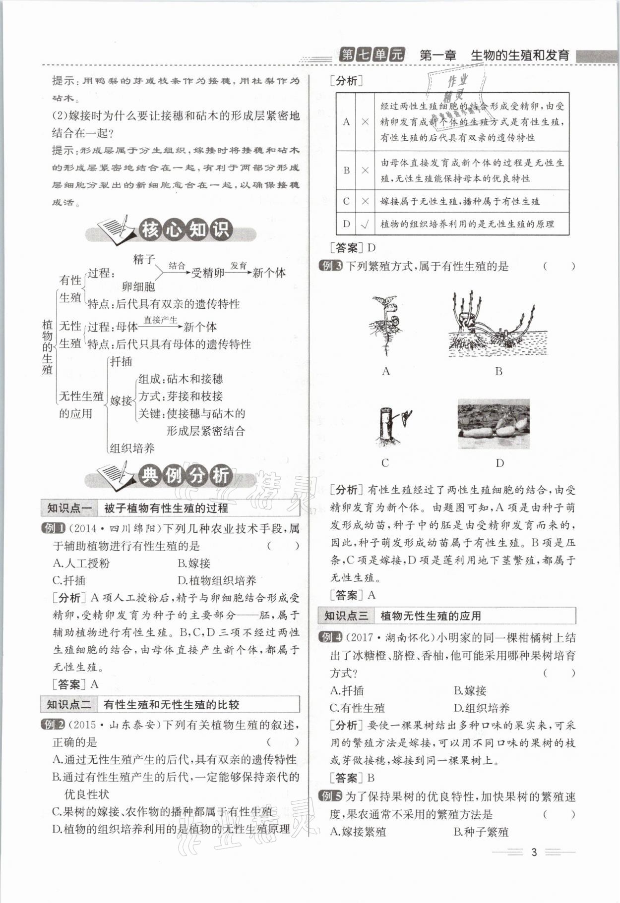 2021年人教金學(xué)典同步解析與測評八年級生物下冊人教版云南專版 參考答案第13頁