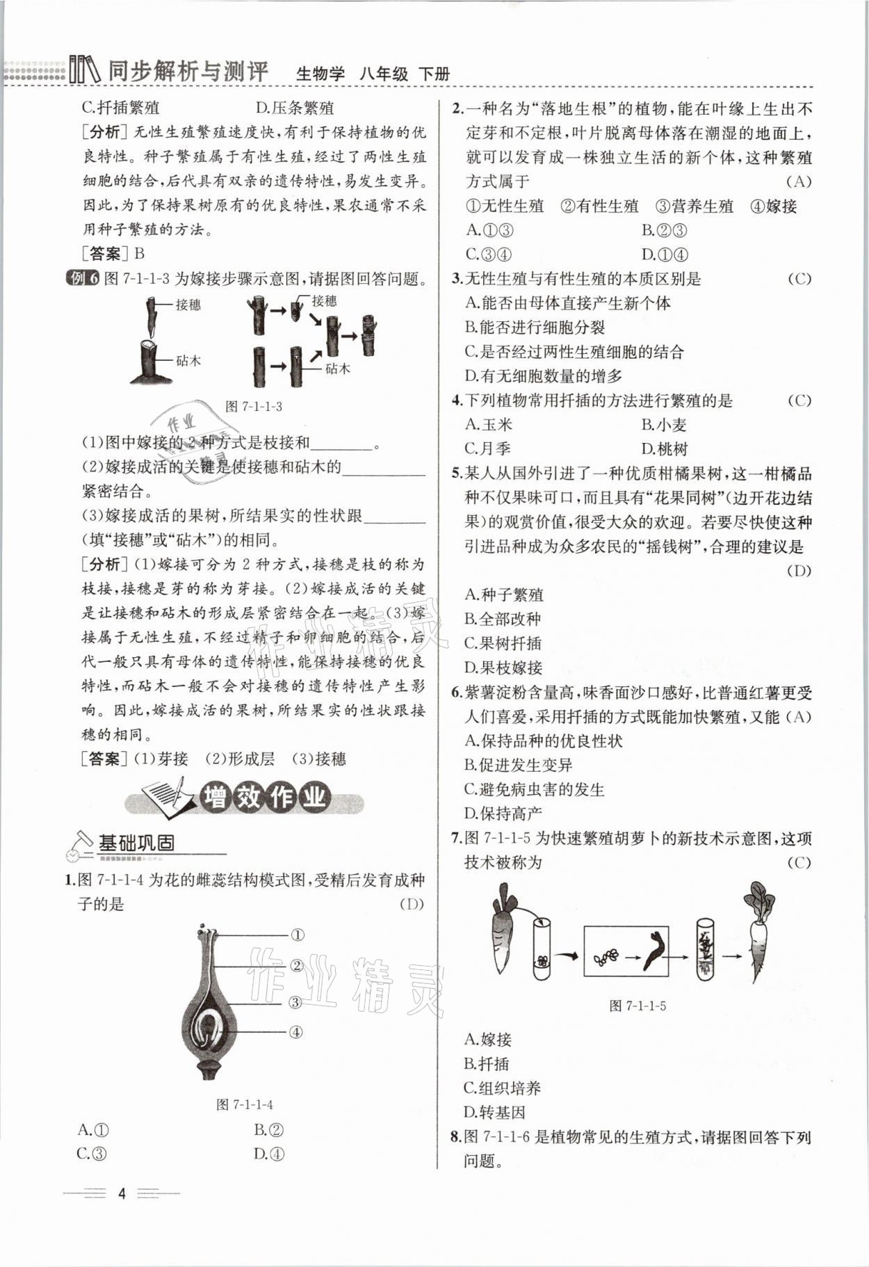 2021年人教金學(xué)典同步解析與測評八年級生物下冊人教版云南專版 參考答案第15頁