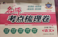 2021年名師考點梳理卷三年級語文下冊人教版