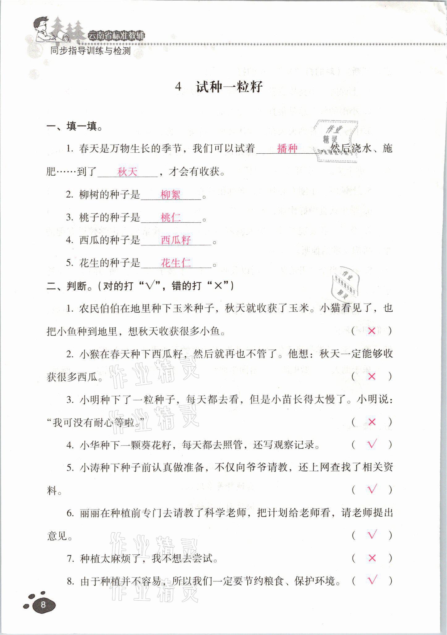 2021年云南省標(biāo)準(zhǔn)教輔同步指導(dǎo)訓(xùn)練與檢測二年級道德與法治下冊人教版 參考答案第7頁